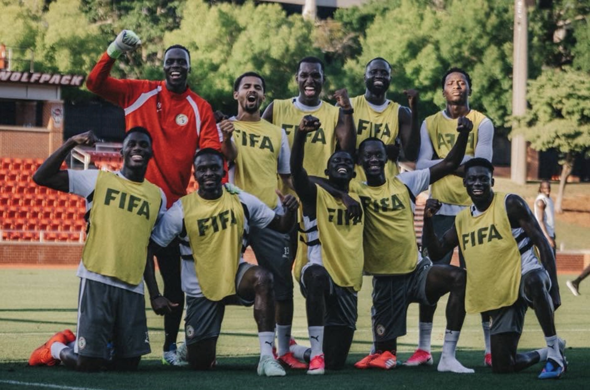 the Lions — Sénégal